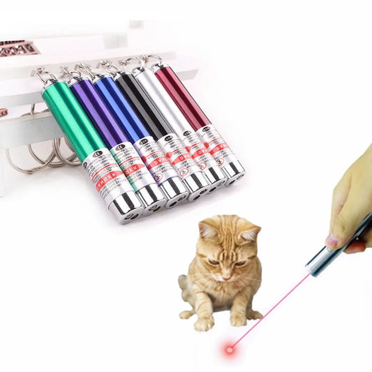 Sahebji's Interactive LED Training Torch for Cats and Dogs