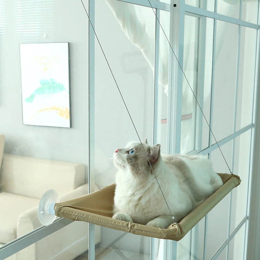 Sahebji's Cat Comfort Essentials: Hammocks, Climbers, Beds & More