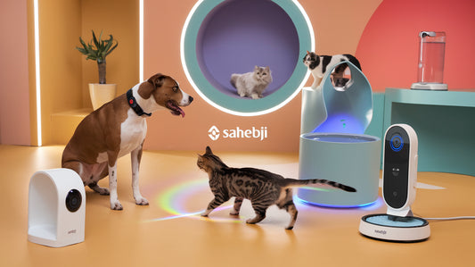 The Pet Tech Revolution: Gadgets for a Smarter, Happier Pet