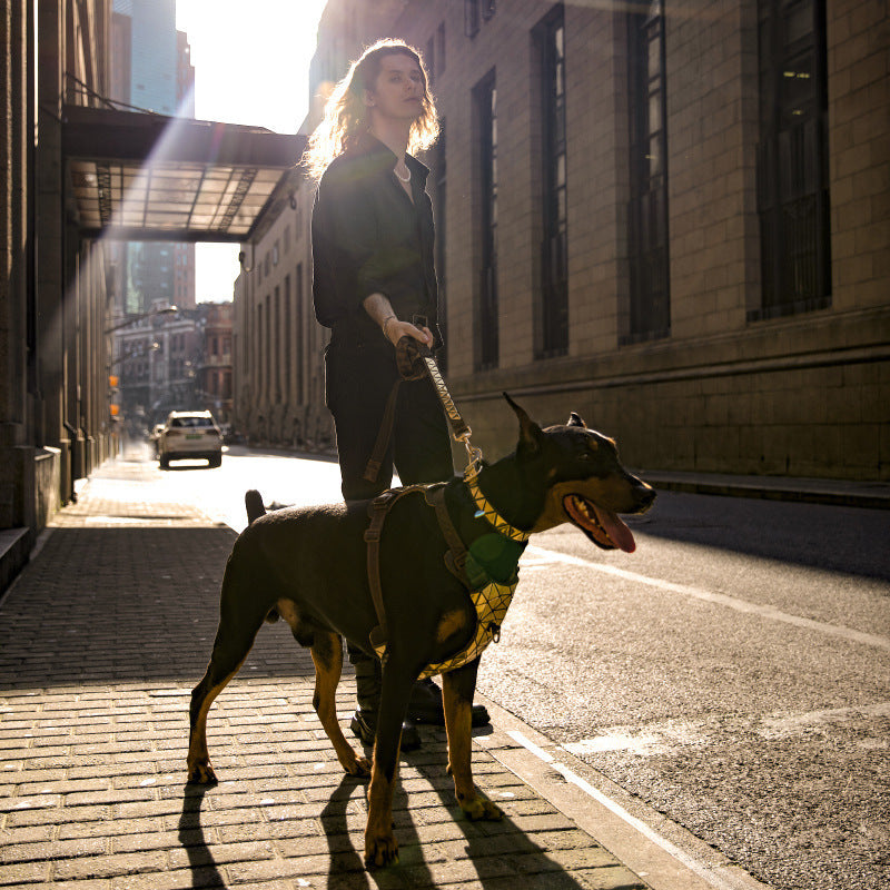 Dog Harness with Leash Attachments 