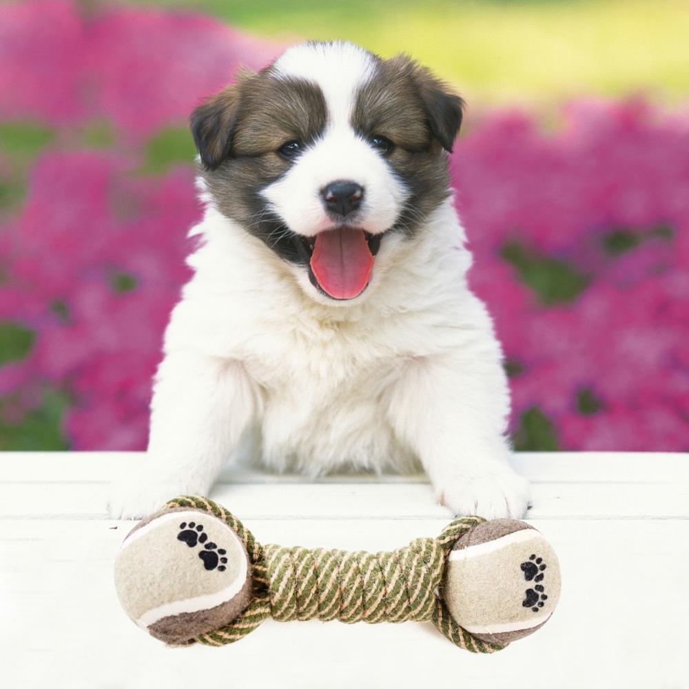 Best Toys for Dogs | Dog Rope & Tug Toys