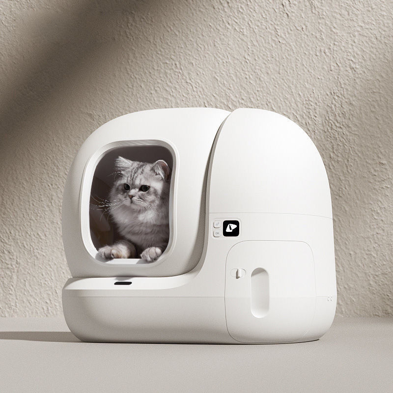 cat in the automatic litter box