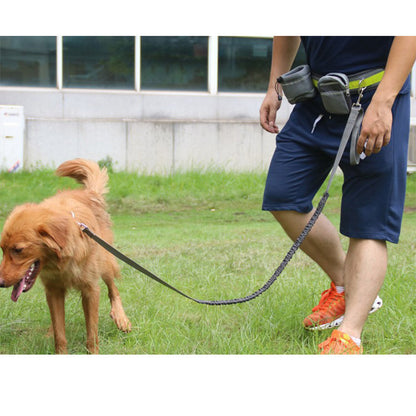 Dog Running Traction Set