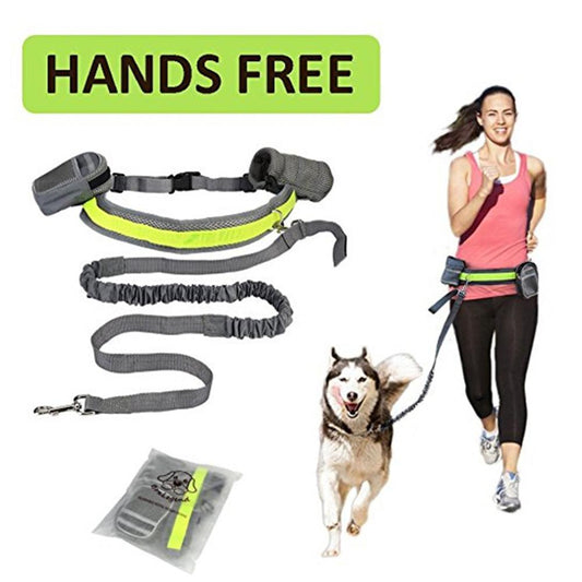 Dog Running Traction Set