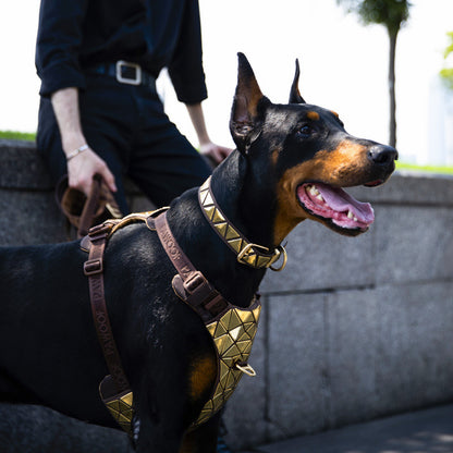 Dog Harness with Leash Attachments 