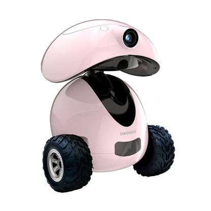 Intelligent Pet Companion Robot