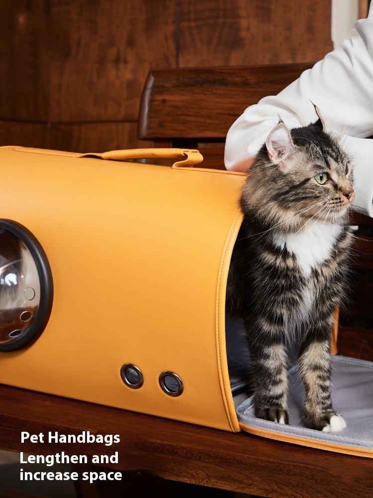 cat in his Portable Pet Bag Perfect for Small Dogs and Cats on the Go