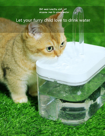 Cat Water Fountain