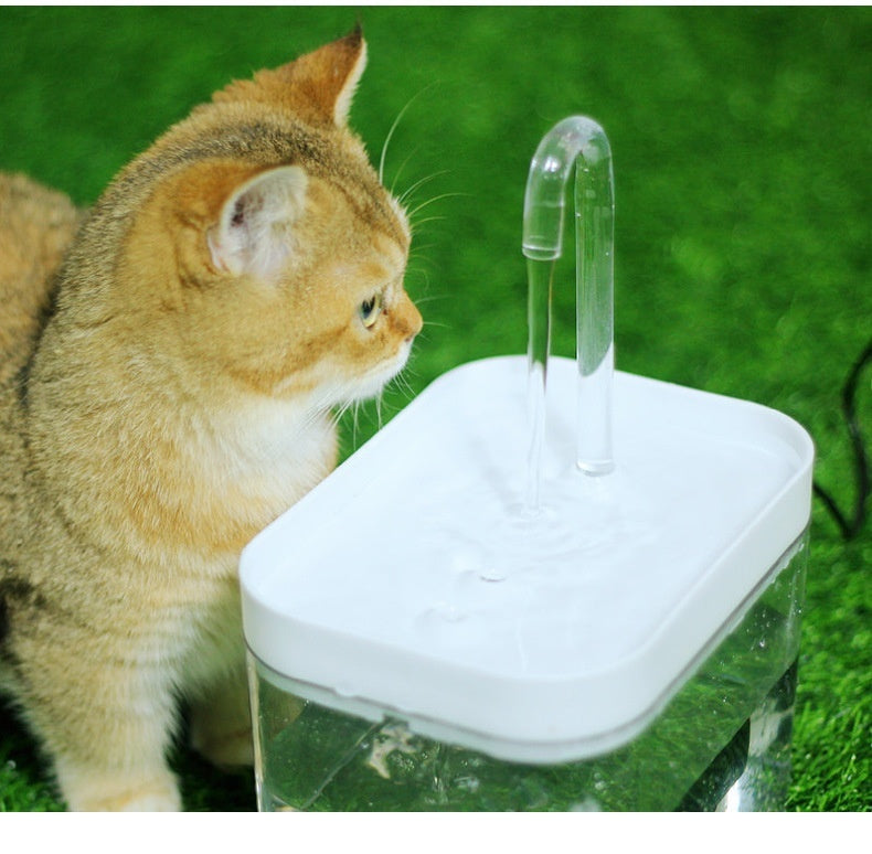 Cat Water Fountain