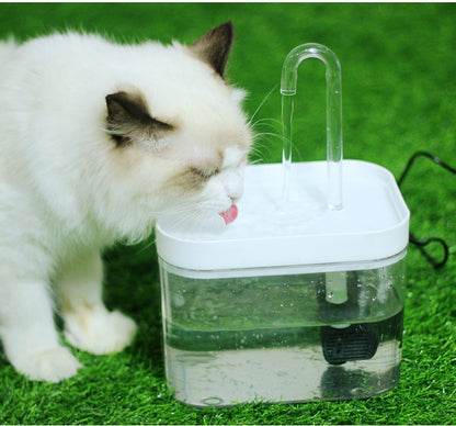 Cat Water Fountain