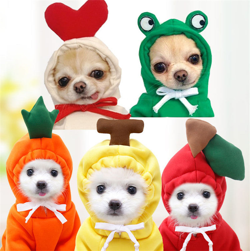 Cute Fruit Dog Clothes