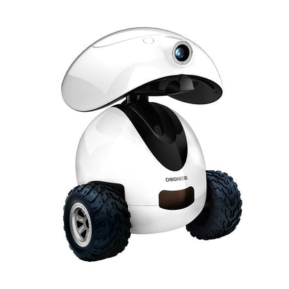 Intelligent Pet Companion Robot