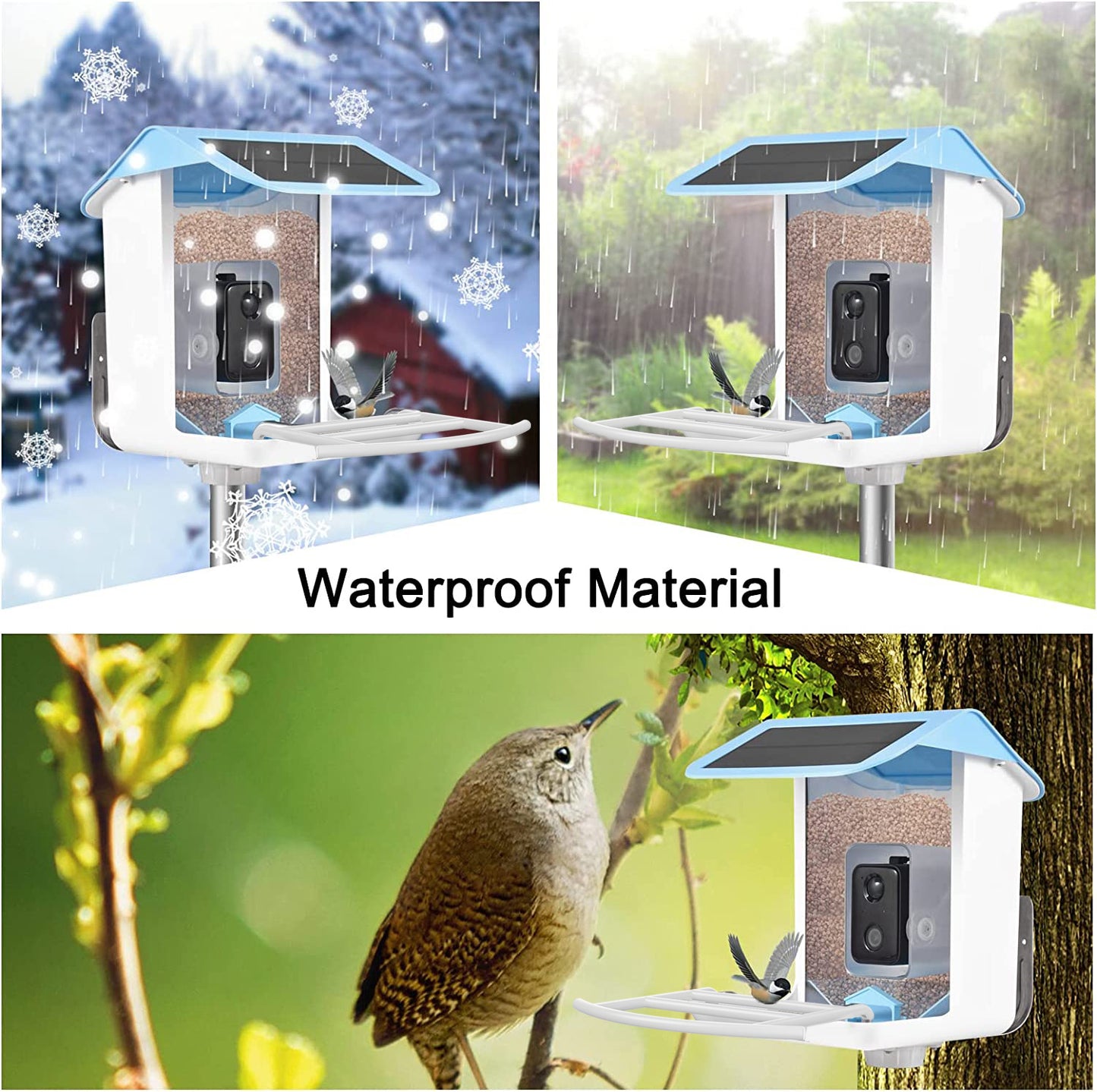 Smart Bird Feeder AI Recognition APP Camera